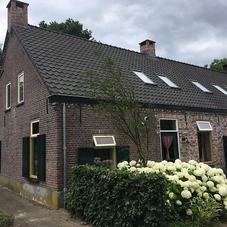 Vakantiehuis In Het Voorhuis Dommelen Ngoại thất bức ảnh