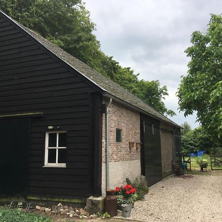 Vakantiehuis In Het Voorhuis Dommelen Ngoại thất bức ảnh
